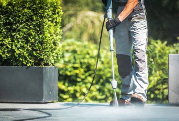 Best Oil Spill Cleanup  in South Elgin, IL