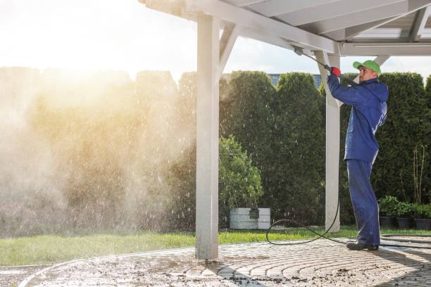 Best Graffiti Removal  in South Elgin, IL