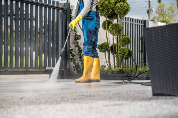 Best Fence Cleaning  in South Elgin, IL